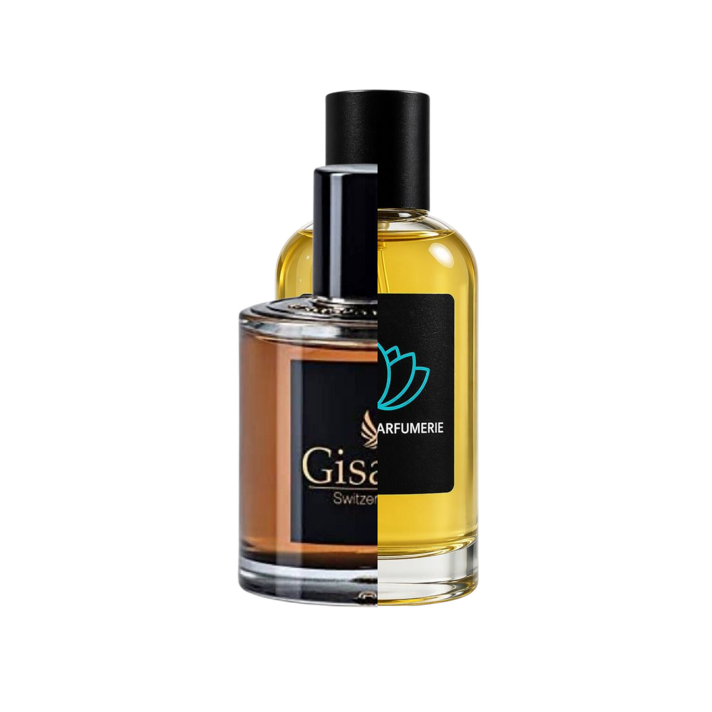 Gissada Ambassador
