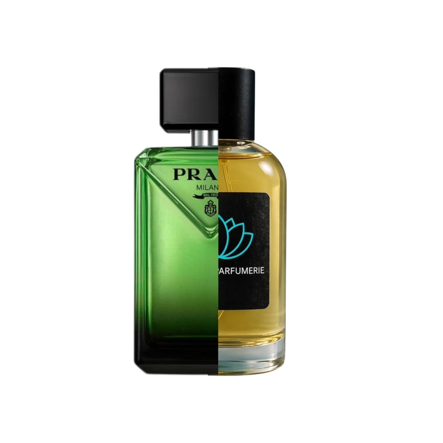 Prada Paradigme