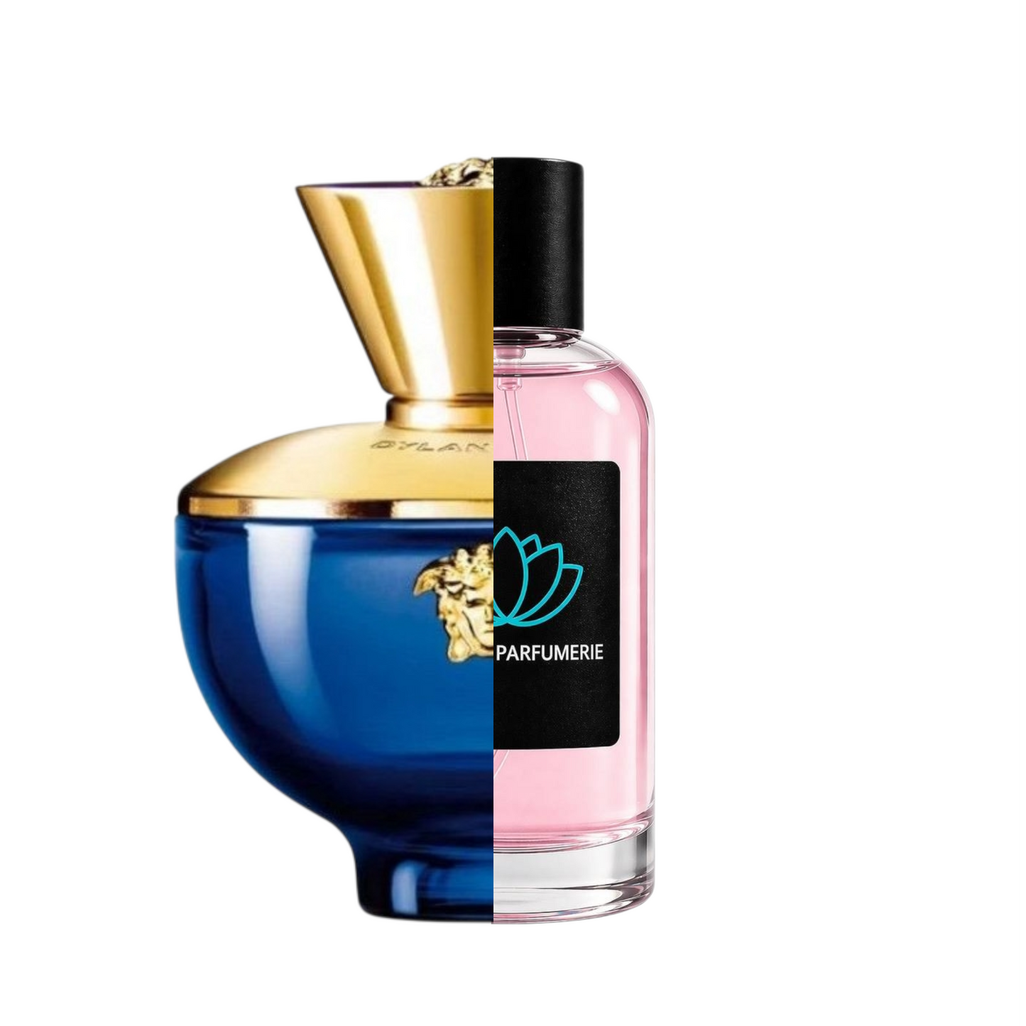 Versace Dylan Blue
