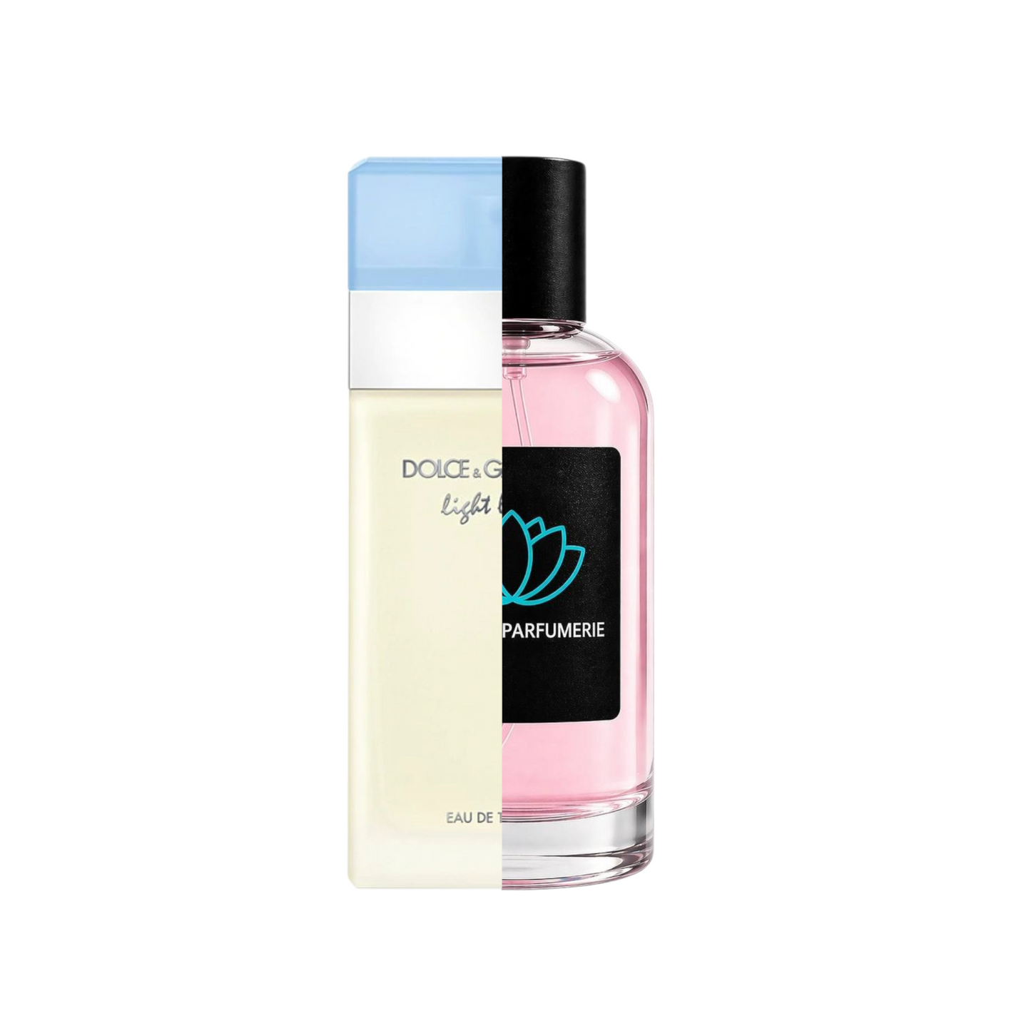 D&G Light Blue