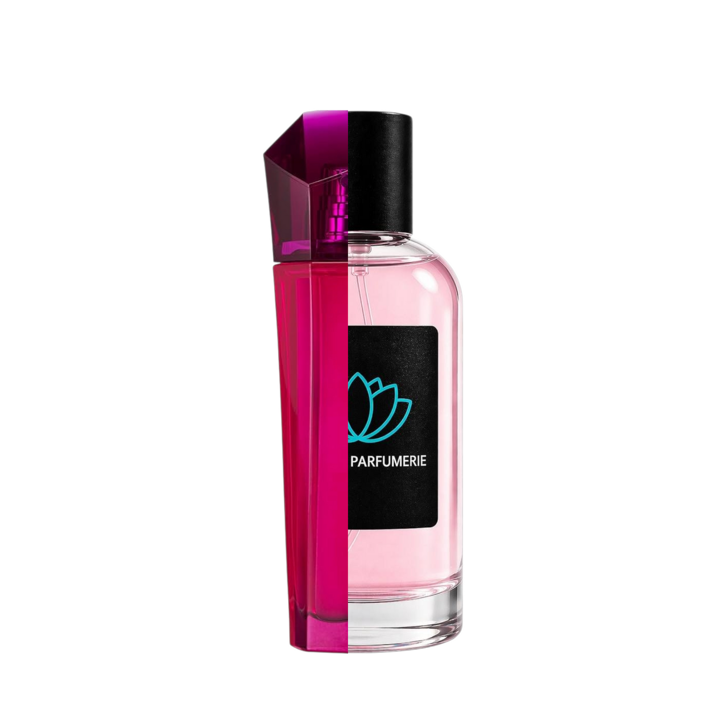 Escada Magnetism
