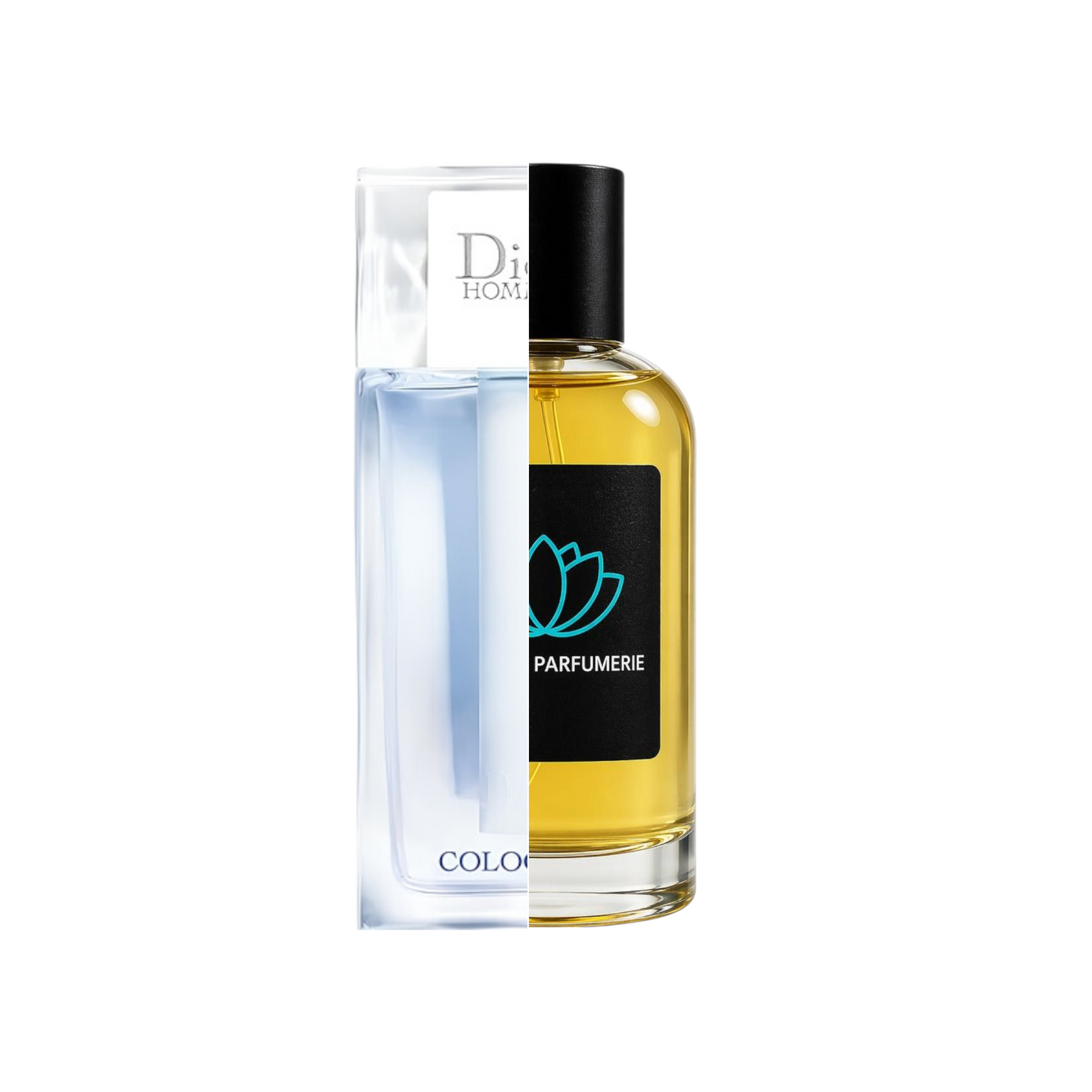 Homme Cologne