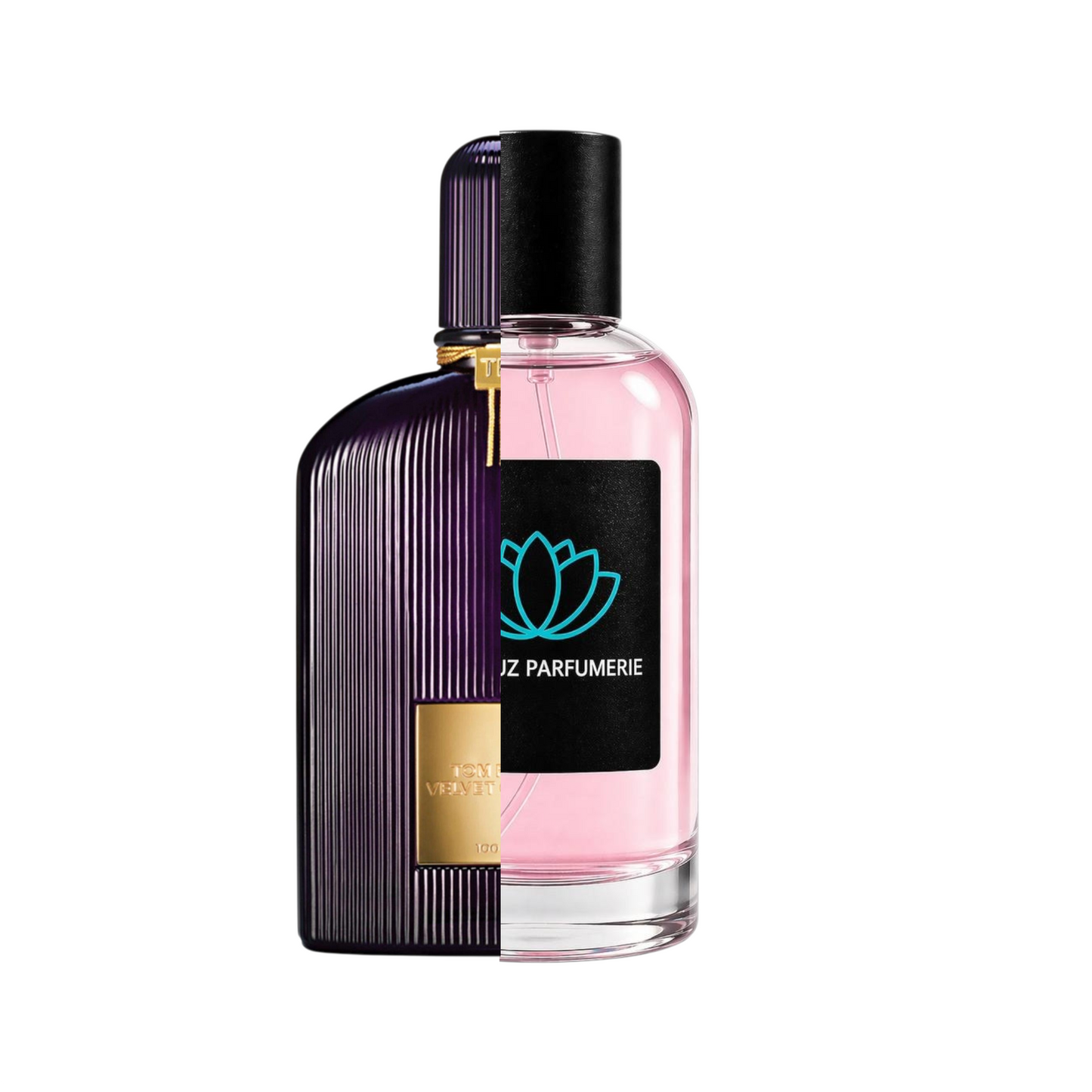 T.F Velvet Orchid