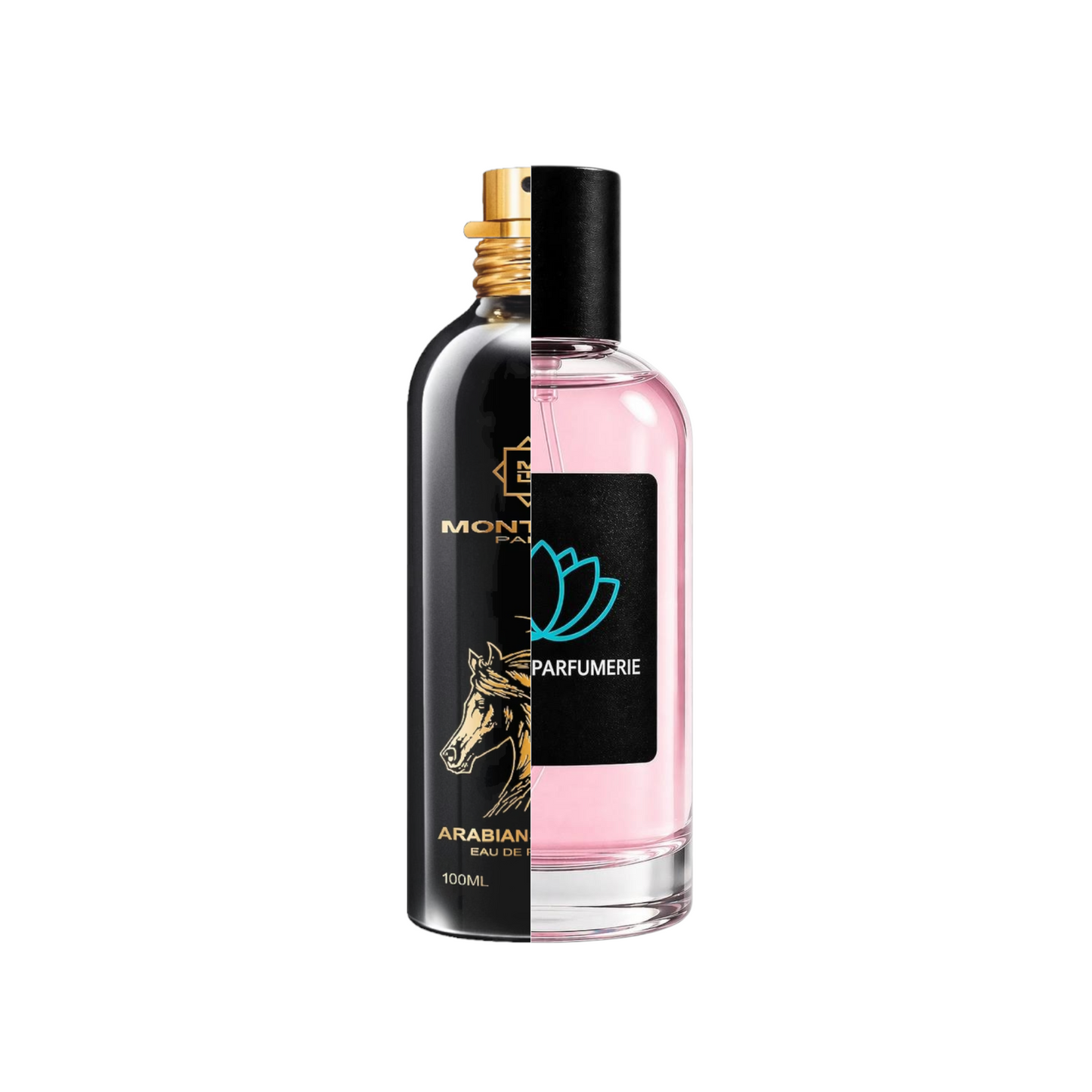 Arabians Tonka Montale